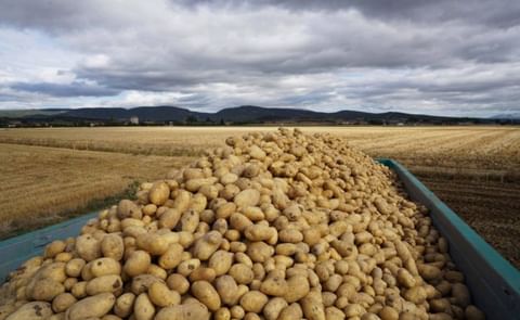 España: precios duplican el promedio de los últimos cinco años España: precios duplican el promedio de los últimos cinco años