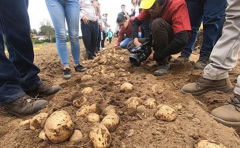 La reconocida marca a nivel global compartió la conexión con su origen y las raíces de Guatemala. La reconocida marca a nivel global compartió la conexión con su origen y las raíces de Guatemala.