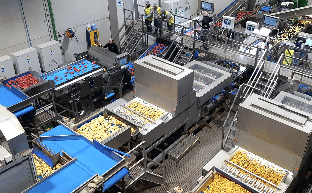 Patatas Hijolusa optimizes its production line