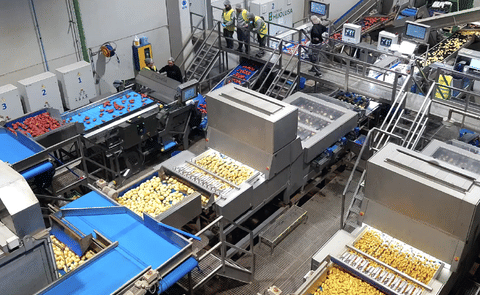 Patatas Hijolusa optimizes its production line Patatas Hijolusa optimizes its production line