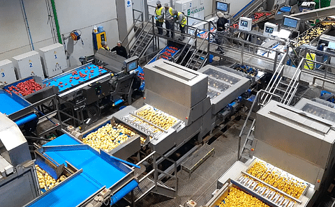 Patatas Hijolusa optimizes its production line