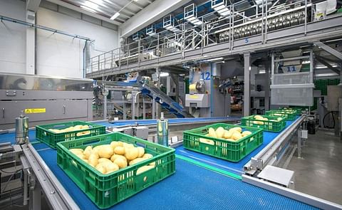 Imagen de la planta de producción de Patatas Hijolusa. Imagen de la planta de producción de Patatas Hijolusa.