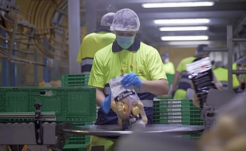 Patatas Meléndez aumenta un 25% su plantilla en plena crisis sanitaria del Covid-19 y continúa incorporando nuevo talento.
Patatas Meléndez aumenta un 25% su plantilla en plena crisis sanitaria del Covid-19 y continúa incorporando nuevo talento.