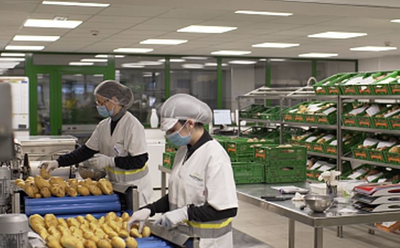 Meléndez empleaba a principios de marzo a alrededor de 350 personas en su fábrica de Medina del Campo (Valladolid), un número que se ha visto incrementado en un 25%, llegando a 444 personas entre trabajadores propios y temporales. Meléndez empleaba a principios de marzo a alrededor de 350 personas en su fábrica de Medina del Campo (Valladolid), un número que se ha visto incrementado en un 25%, llegando a 444 personas entre trabajadores propios y temporales.
