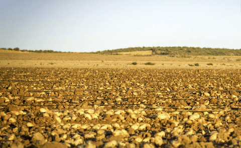Patatas Meléndez adquiere la compañía gallega Patatas Prado. Patatas Meléndez adquiere la compañía gallega Patatas Prado.