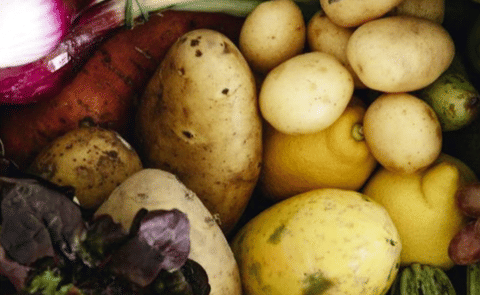 Fresh products Fresh products