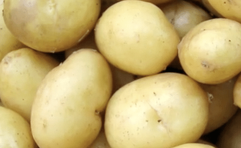 Patata Monalisa Patata Monalisa