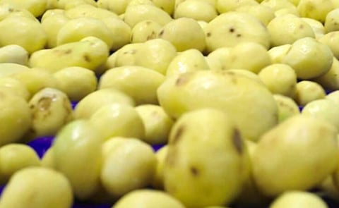 Spanish Potatoes Spanish Potatoes