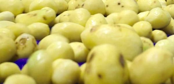 Patatas Españolas