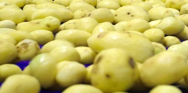 Patatas Españolas