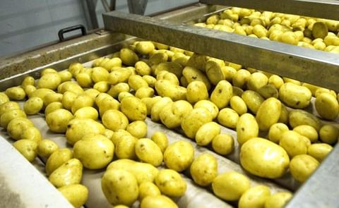 Patatas Rubio-La Rioja Patatas Rubio-La Rioja