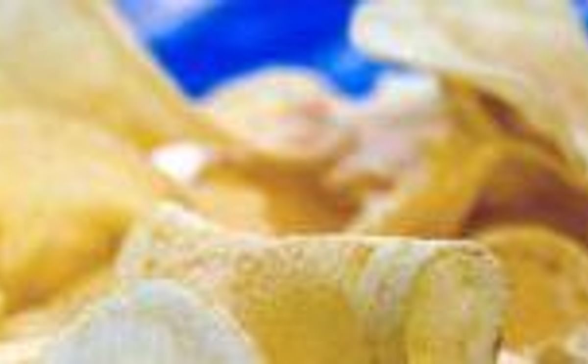 Papas fritas o chips Papas fritas o chips