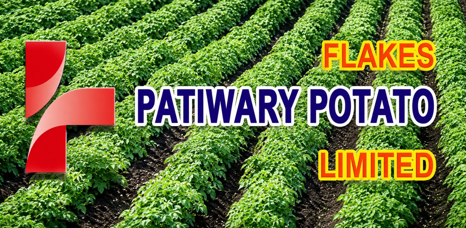 Patwary Potato Flakes