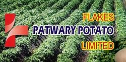 Patwary Potato Flakes