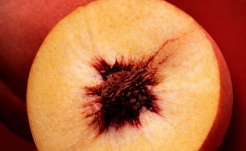 NcChlorogenic acid induces death of breast cancer cells NcChlorogenic acid induces death of breast cancer cells