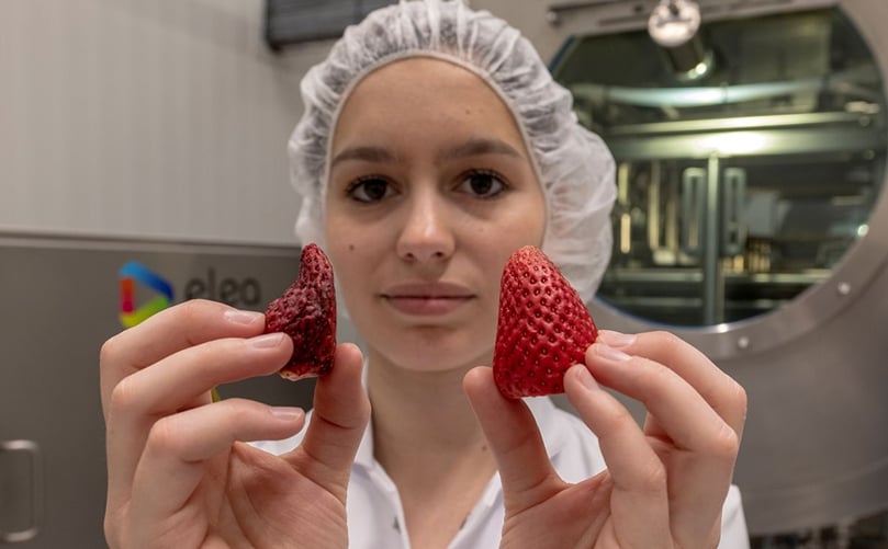 Showcasing the power of Elea’s Pulsed Electric Field (PEF) technology: A side-by-side comparison of untreated vs. PEF-treated strawberries, presented by Alica Lammerskitten, highlighting the natural preservation of texture and color. Showcasing the power of Elea’s Pulsed Electric Field (PEF) technology: A side-by-side comparison of untreated vs. PEF-treated strawberries, presented by Alica Lammerskitten, highlighting the natural preservation of texture and color.