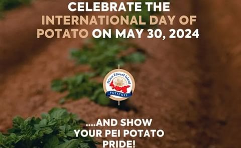 In December 2023, the UN General Assembly proclaimed May 30 as the International Day of Potato. In December 2023, the UN General Assembly proclaimed May 30 as the International Day of Potato.