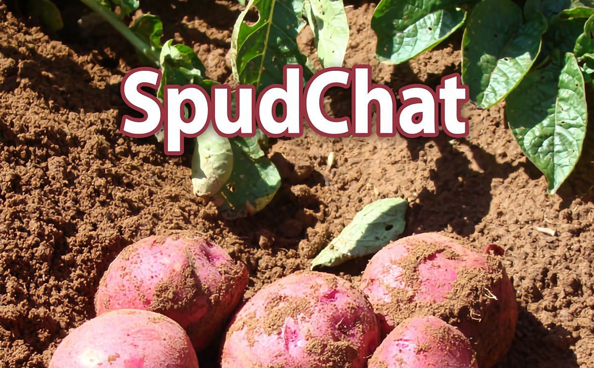 Prince Edward Island Potato Board Launches Podcast: Spudchat