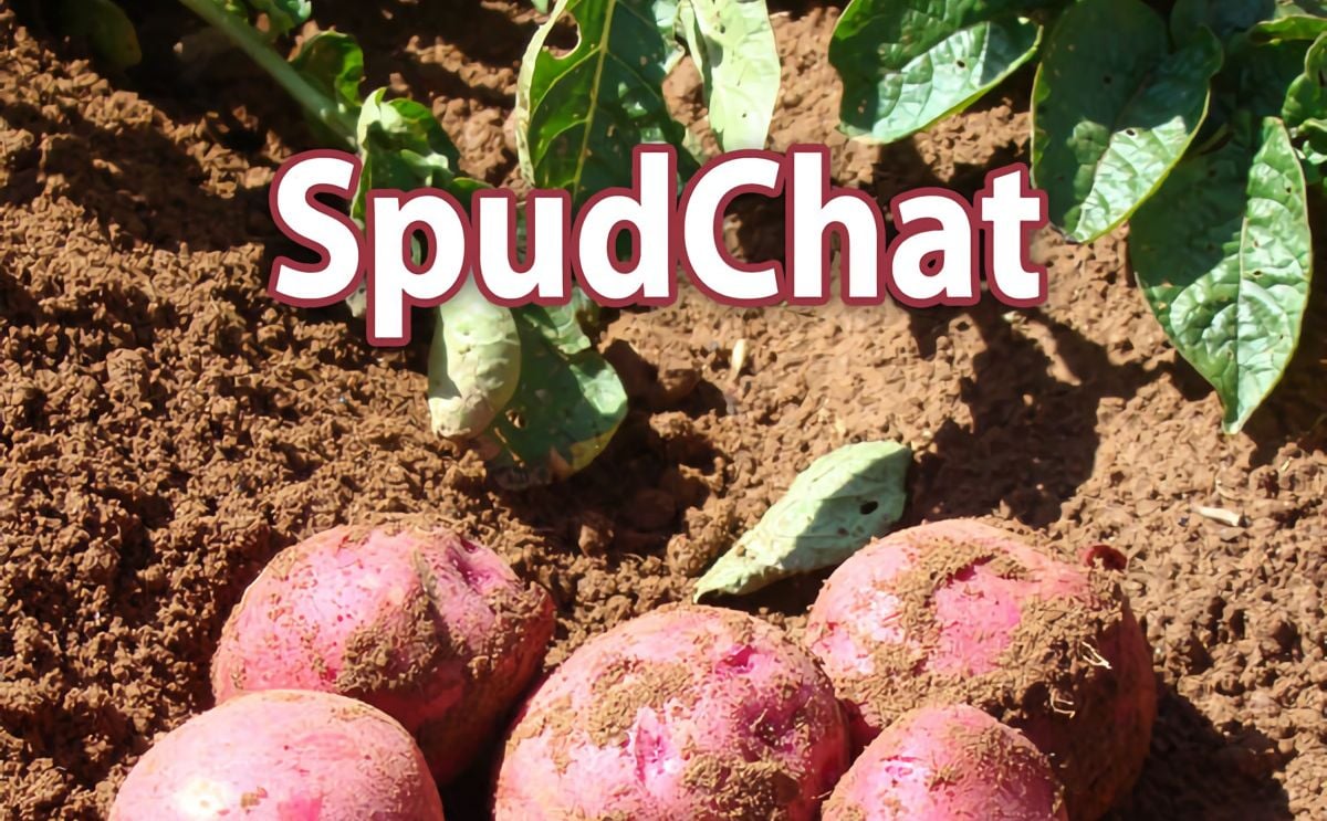 Prince Edward Island Potato Board Launches Podcast: Spudchat Prince Edward Island Potato Board Launches Podcast: Spudchat