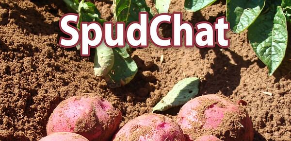 Prince Edward Island Potato Board Launches Podcast: Spudchat
