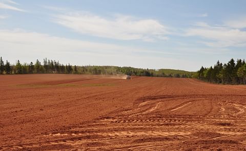 Profile of a Prince Edward Island Potato Farmer Profile of a Prince Edward Island Potato Farmer