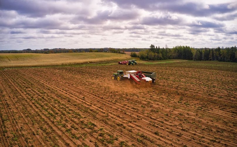 A crew harvests a field of Prince Edward Island potatoes in September 2020. This year's crop is a pleasant change from last year's drought-reduced crop. (Courtesy: Shane Hennessey/CBC) A crew harvests a field of Prince Edward Island potatoes in September 2020. This year's crop is a pleasant change from last year's drought-reduced crop. (Courtesy: Shane Hennessey/CBC)