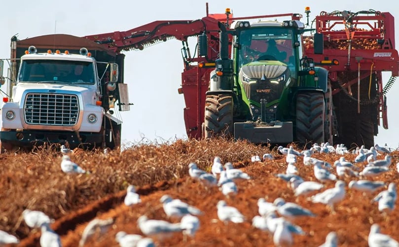 MacIsaac says there are other potato-growing areas that have had below-average crops and could be potential markets for P.E.I. potatoes. (Courtesy: Brian McInnis/CBC) MacIsaac says there are other potato-growing areas that have had below-average crops and could be potential markets for P.E.I. potatoes. (Courtesy: Brian McInnis/CBC)