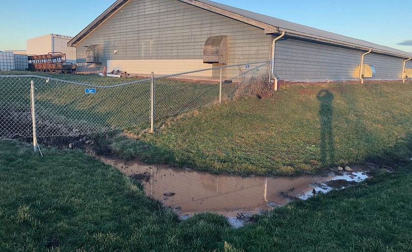 When the spill was detected, P.E.I. Potato Solutions was directed to stop the flow of waste water and remove any waste water from ditches around its property (Courtesy: Brian Higgins/CBC).