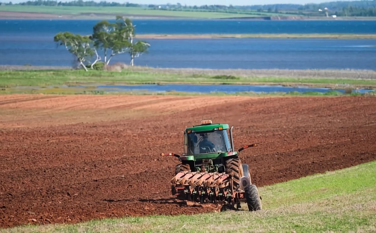 P.E.I. announces CAD 4.7M to tackle potato surplus related to COVID-19 market conditions P.E.I. announces CAD 4.7M to tackle potato surplus related to COVID-19 market conditions