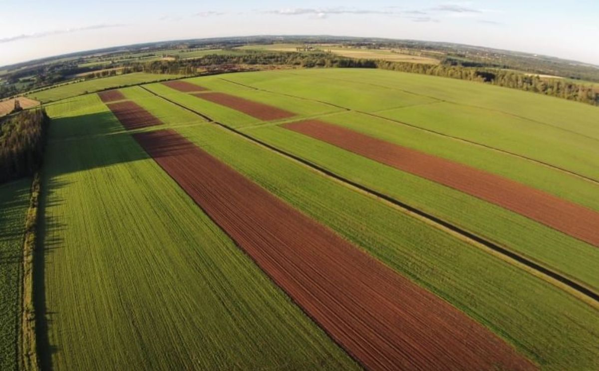 Aerial view of soil conservation structures and strip cropping practices on Prince Edward Island farmland. (Courtesy:Prince Edward Island Department of Agriculture and Fisheries)