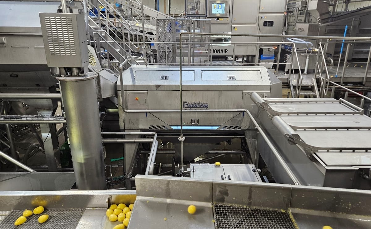MK Agro upgrades its potato processing line in Poland with Forsfood’s Aurora Borealis USVA rollerknife re-peeler to boost capacity, reduce losses, and improve product consistency