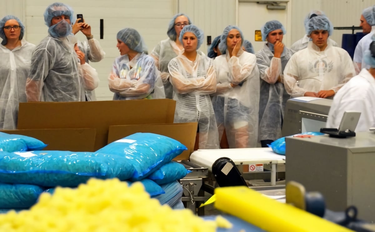 Penn State Students help Sterman Masser Potato Farms find New Potato Products Penn State Students help Sterman Masser Potato Farms find New Potato Products