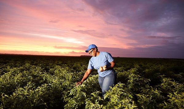 PepsiCo Announces 2030 Goal to Scale Regenerative Farming Practices Across 7 Million Acres, Equivalent to Entire Agricultural Footprint