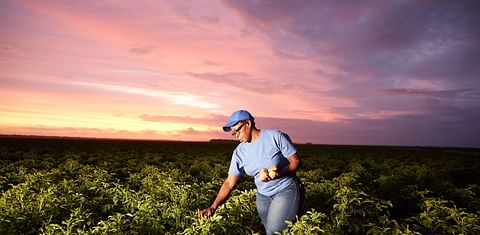 PepsiCo Announces 2030 Goal to Scale Regenerative Farming Practices Across 7 Million Acres, Equivalent to Entire Agricultural Footprint