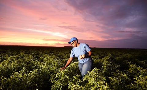 PepsiCo Announces 2030 Goal to Scale Regenerative Farming Practices Across 7 Million Acres, Equivalent to Entire Agricultural Footprint PepsiCo Announces 2030 Goal to Scale Regenerative Farming Practices Across 7 Million Acres, Equivalent to Entire Agricultural Footprint