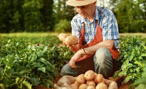 PepsiCo boosts precision agri tech. (Courtesy: GettyImages | thomasworks) PepsiCo boosts precision agri tech. (Courtesy: GettyImages | thomasworks)