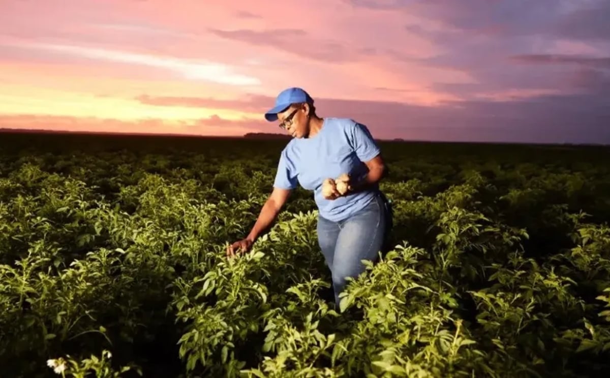 PepsiCo announces key hires to boost agricultural best practices and sustainability PepsiCo announces key hires to boost agricultural best practices and sustainability