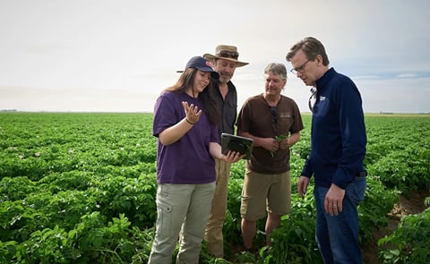 Farmers assess potato crops as PepsiCo promotes AI and regenerative agriculture for resilient farming. Farmers assess potato crops as PepsiCo promotes AI and regenerative agriculture for resilient farming.