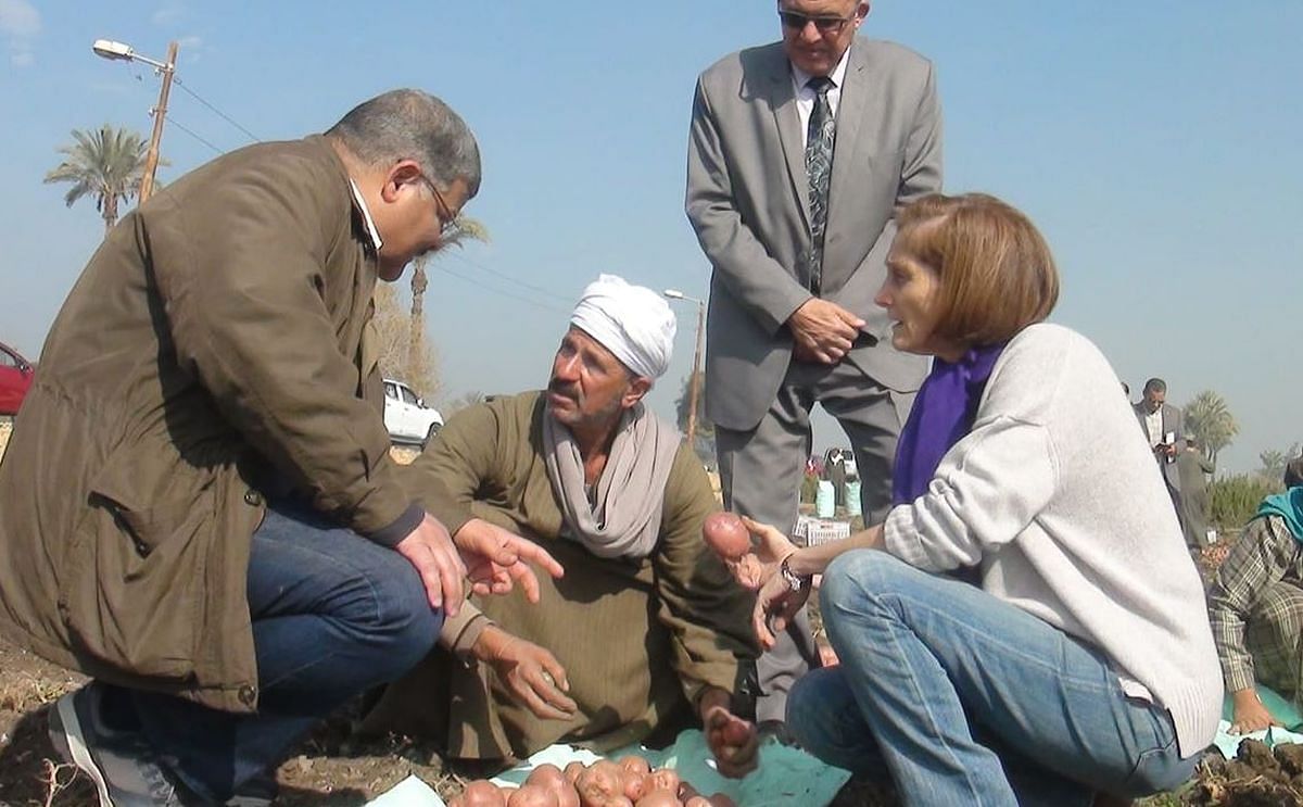 PepsiCo Egypt and USAID Initiative Garners Increase in Potato Harvest