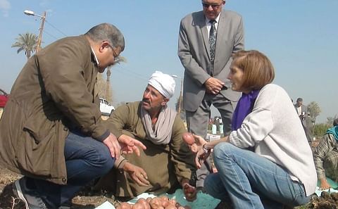 PepsiCo Egypt and USAID Initiative Garners Increase in Potato Harvest.