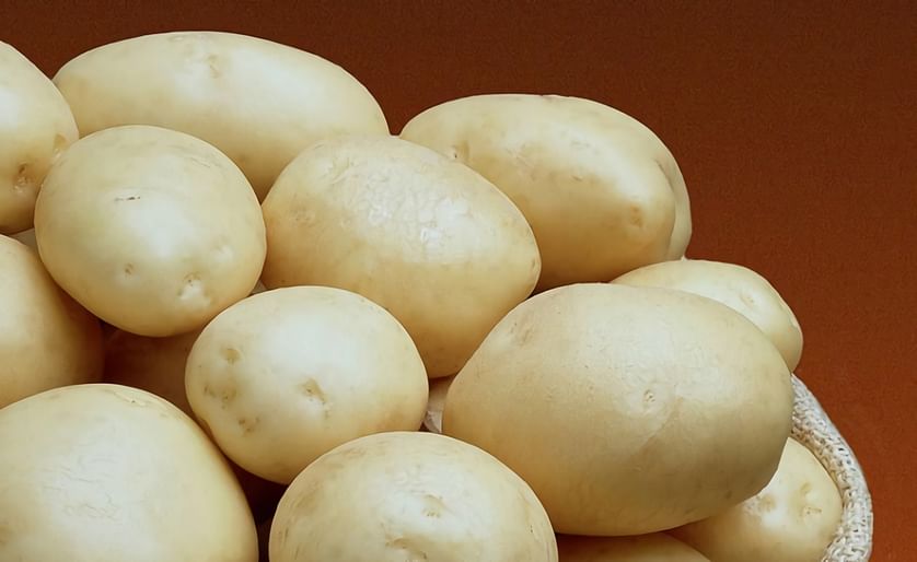 Pepsur Marketing is introducing several new potato varieties to Spain and Portugal (Courtesy: Pepsur Marketing).