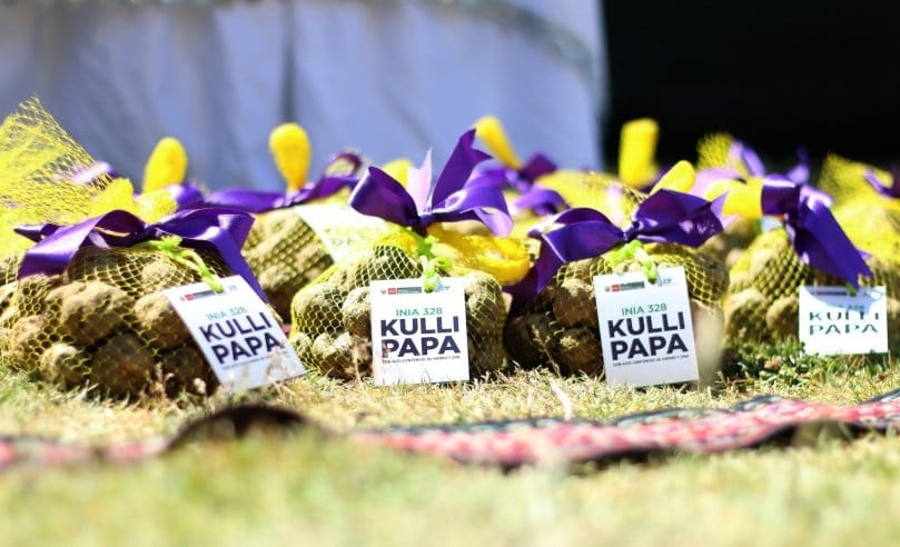 Perú lanza papa con un 30% más de hierro