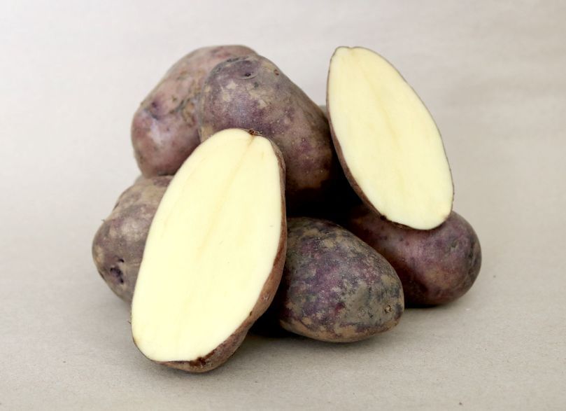 Variedad de papa Kawsay