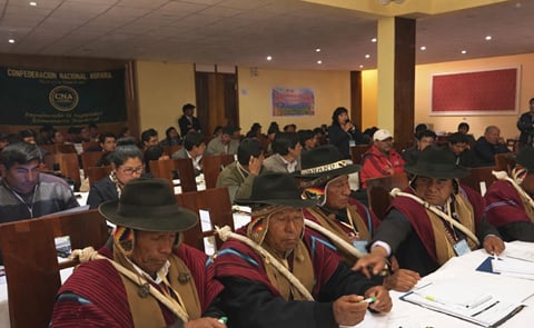 Perú y Bolivia sistematizarán y difundirán experiencias sobre seguridad alimentaria Perú y Bolivia sistematizarán y difundirán experiencias sobre seguridad alimentaria