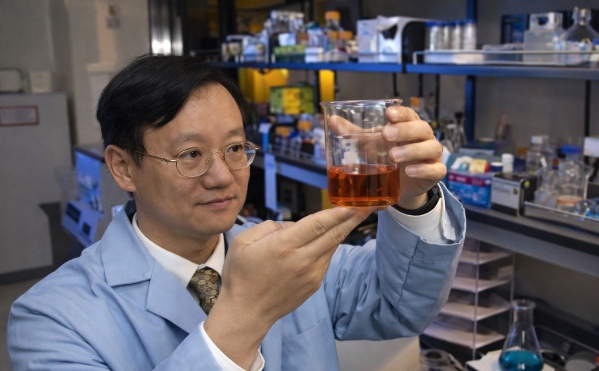 Virginia Tech researchers turn Cellulose into Starch