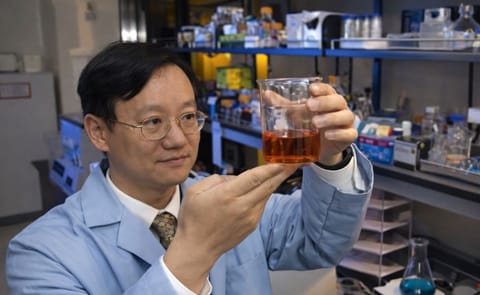 Virginia Tech researchers turn Cellulose into Starch Virginia Tech researchers turn Cellulose into Starch