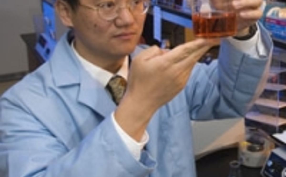 Virginia Tech researchers turn Cellulose into Starch