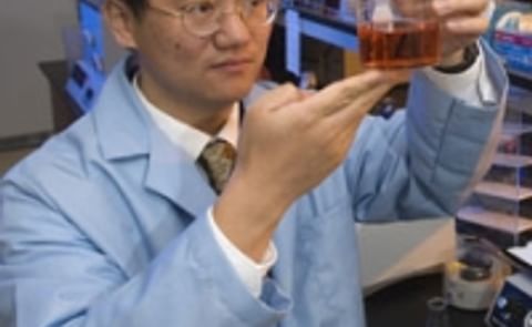Virginia Tech researchers turn Cellulose into Starch Virginia Tech researchers turn Cellulose into Starch