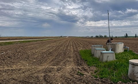 Las condiciones climáticas adversas y los bajos precios obligan a los agricultores en Salamanca a dejar sin recolectar o enterrar sus cultivos de patata, generando importantes pérdidas económicas Las condiciones climáticas adversas y los bajos precios obligan a los agricultores en Salamanca a dejar sin recolectar o enterrar sus cultivos de patata, generando importantes pérdidas económicas