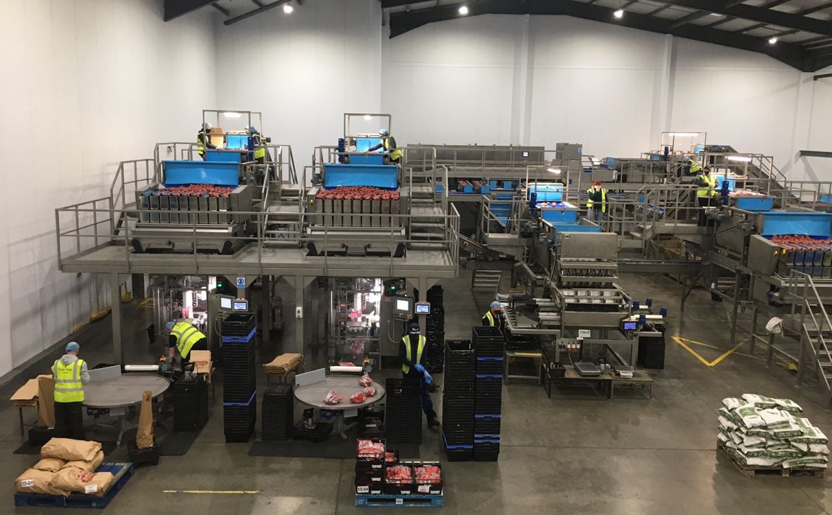 Perfect Planning Allows Sam Dennigan & Company to Comfortably Meet Increased Demand Perfect Planning Allows Sam Dennigan & Company to Comfortably Meet Increased Demand